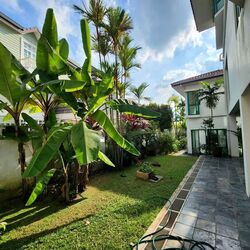 Beechwood Grove (D25), Detached #565222141